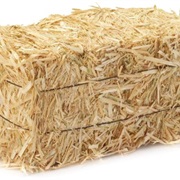 Hay Bale