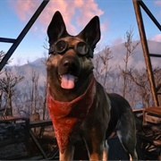 Dogmeat