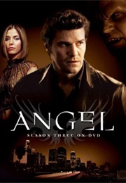 Angel (Season 3) (2001)