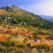 The Causses and the Cévennes, Mediterranean Agro-Pastoral Cultural Lan