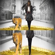 Lions, Tigers, and Bears by Jazmine Sullivan