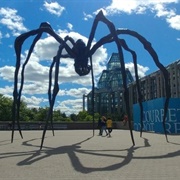 Maman, Ottawa, Ontario