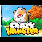 Crazy Hamster