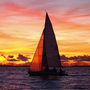 Sunset Catamaran Cruise