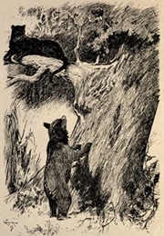 The Jungle Book (Rudyard Kipling)