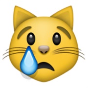 Crying Cat