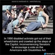 Disabled Activist Crawled the Steps of the Capitol to Encourage Americans With Disabilities Act