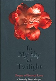 In My Sky at Twilight (Collectif)