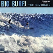 The Sentinals Big Surf