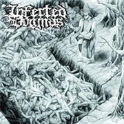 Infected Dogmas - Demo 2012