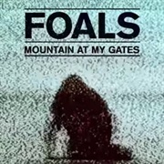 Mountain at My Gates Foals