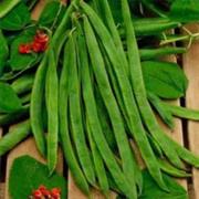 Runner Beans