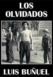 Los Olvidadas