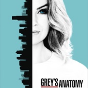 Grey&#39;s Anatomy Season 13