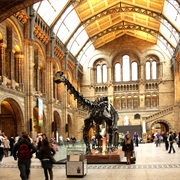 The Natural History Museum (London, UK)