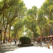 Cours Mirabeau Aix En Provence