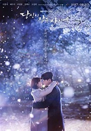 While You Were Sleeping (Kdrama) (2017)