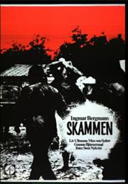 Shame (Ingmar Bergman)