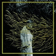 Forest Swords - Engravings