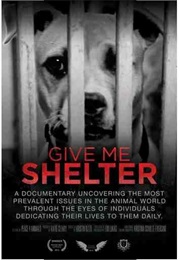 Give Me Shelter (2014)