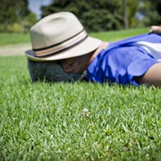 Take a Nap on the Grass