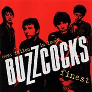 Buzzcocks: Ever Fallen in Live Buzzcocks Finest