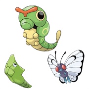 Caterpie