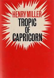 tropic of capricorn novel