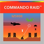 Commando Raid