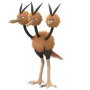 Dodrio