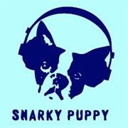Something- Snarky Puppy