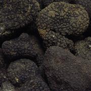 Tartufo Nero