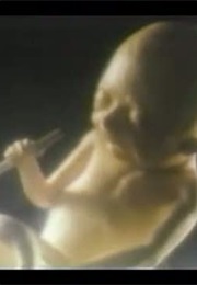 The American Cancer Society: Smoking Fetus (1985)