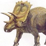 Centrosaurus