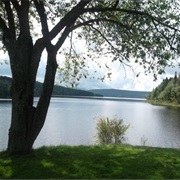 Lake Francis State Park, New Hampshire