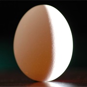 Egg Balancing Is Only Possible on the Vernal Equinox