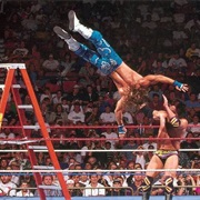 Shawn Michaels vs. Razor Ramon,Summerslam 1995