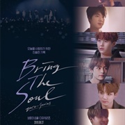 Bring the Soul: Docu-Series (2019)