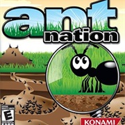 Ant Nation