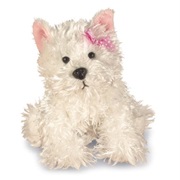 White Terrier