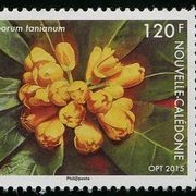 New Caledonia Flora - Endangered Species
