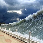 Watch a Tsunami Reach Land