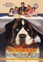 Beethoven Dog