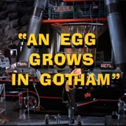 An Egg Grows in Gotham