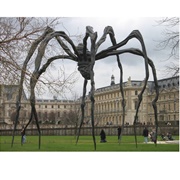 Spider - Louise Bourgeois