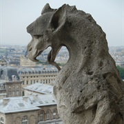 Dragon Gargoyle in Paris