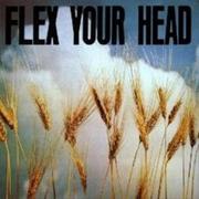 Flex Your Head