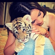 Cuddle a Baby Tiger