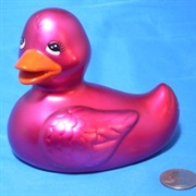 Rubber Duckie