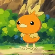 Torchic